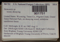 Image Associated With the Occurence